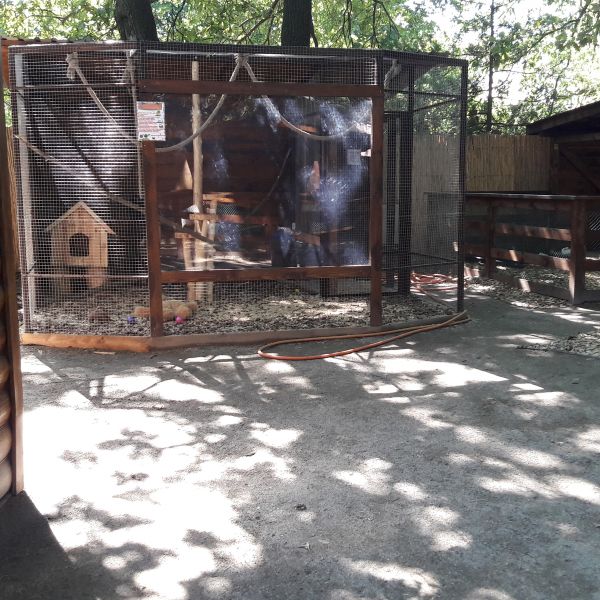 Animalpark будівництво зоопарку